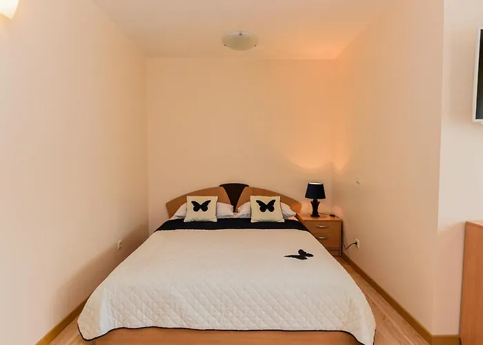 Apartamentu Nuoma ホームステイ